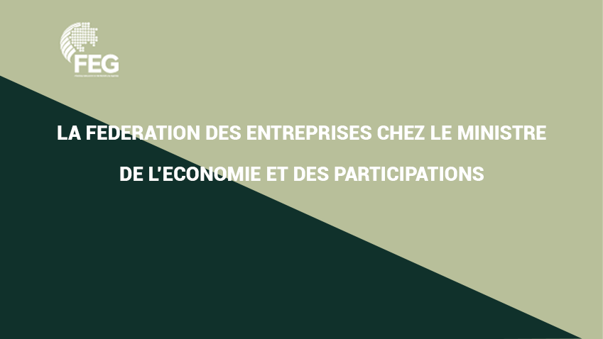 La fédération des entreprises chez le ministre de l’économie et des participations