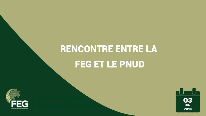 Rencontre entre la FEG et le PNUD