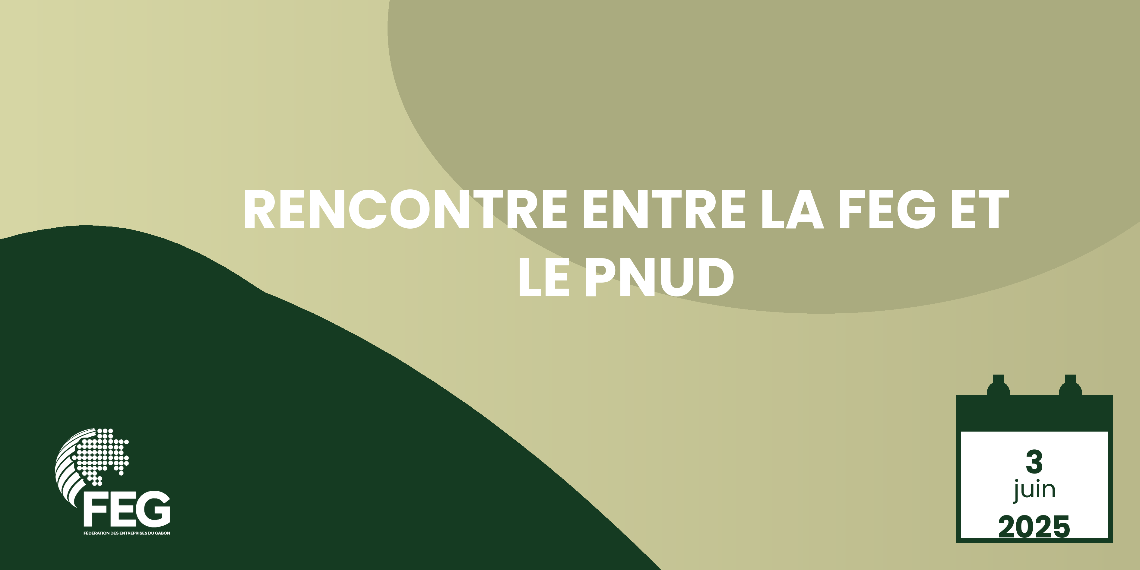 Rencontre entre la FEG et le PNUD 3 juin 2025