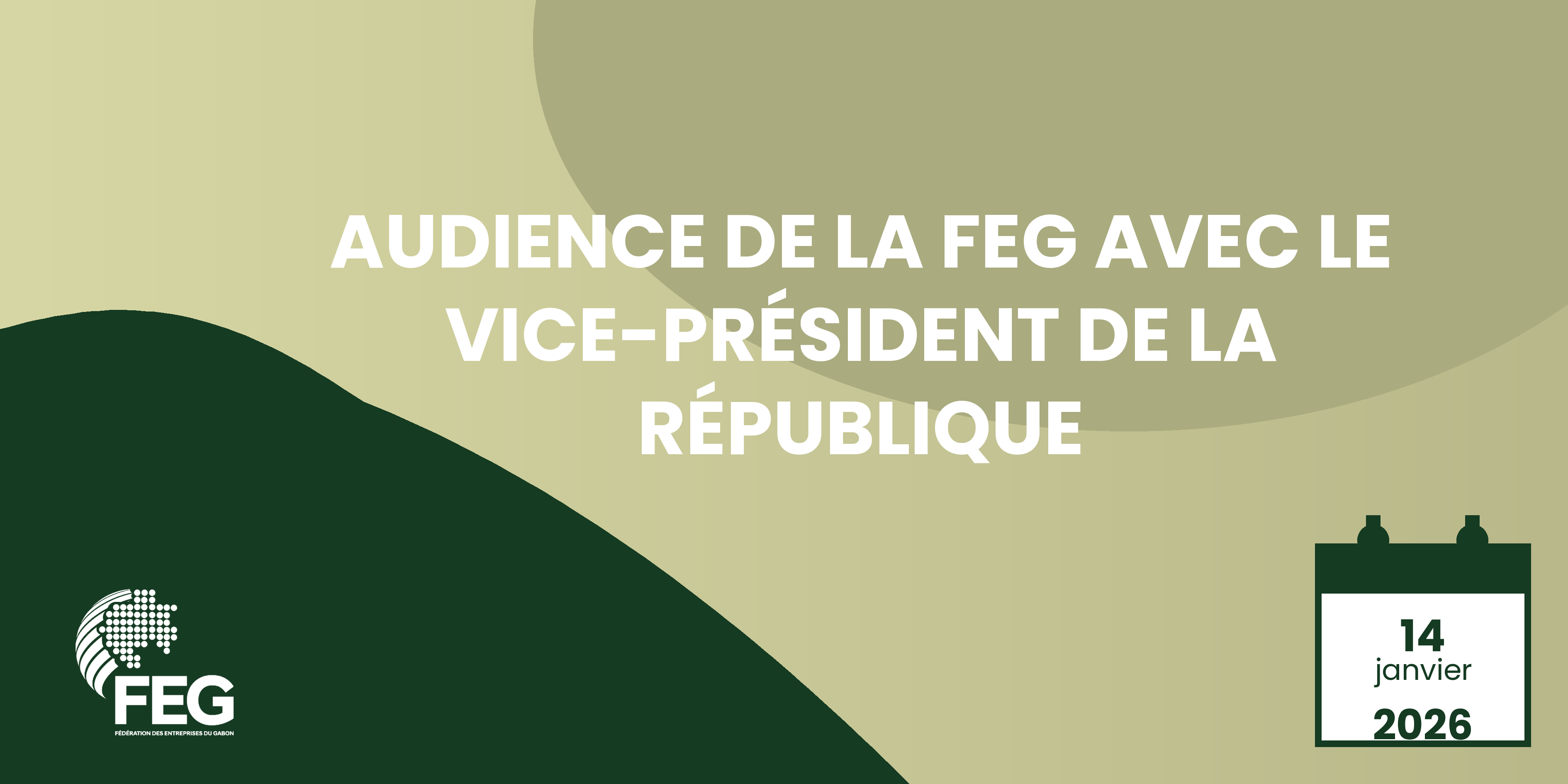 Audience de la FEG avec le Vice - Président de la République