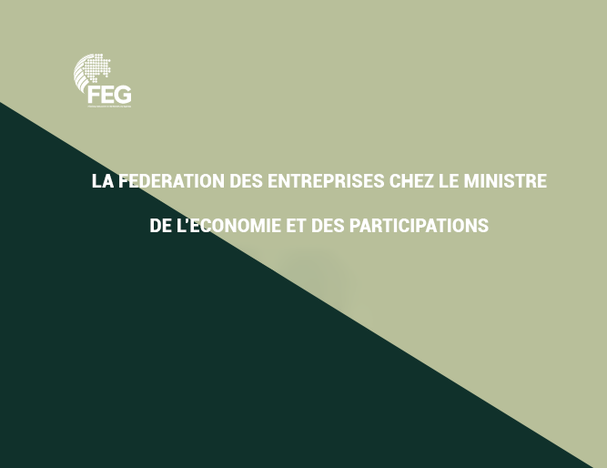 La fédération des entreprises chez le ministre de l’économie et des participations